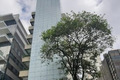 Andar Corporativo para alugar															, Consolação - São Paulo															 Foto 5