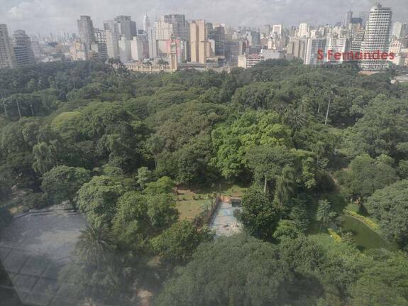 Conjunto Corporativo para alugar, Bom Retiro São Paulo - SP Foto 2