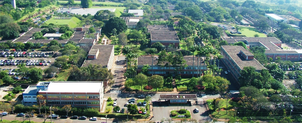 Sala Comercial para alugar Campinas Foto 7