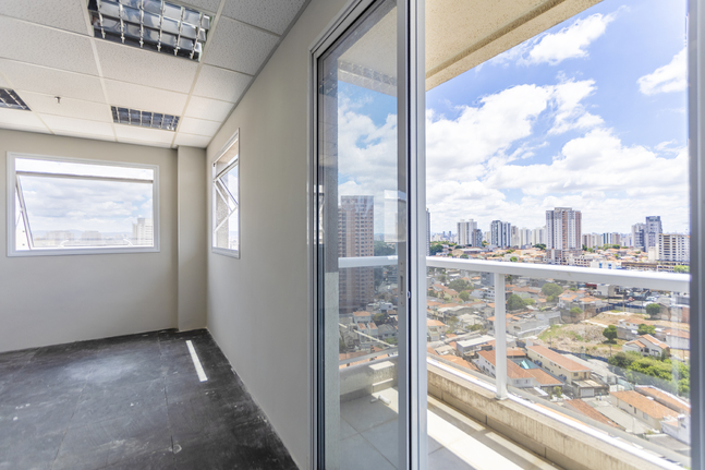 Conjunto Corporativo para alugar, Vila Mariana São Paulo - SP Foto 3