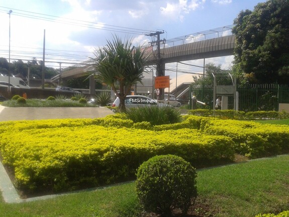 Andar Corporativo para alugar, Vila Almeida São Paulo Foto 8