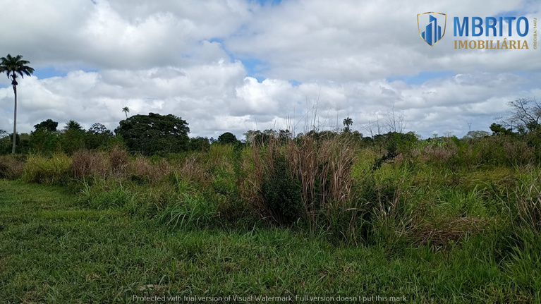 Terreno para alugar Simões Filho - BA Foto 7