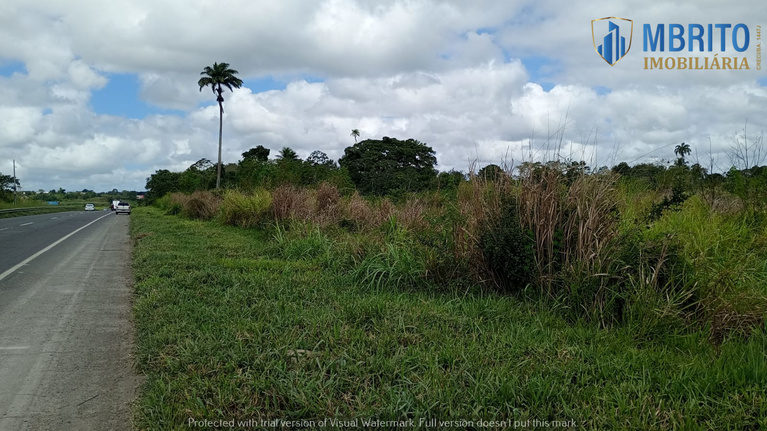 Terreno para alugar Simões Filho - BA Foto 9