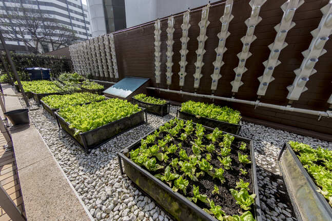 Andar Corporativo para alugar, Paulista São Paulo - SP Foto 8