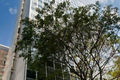 Conjunto Corporativo para alugar															, Av. Paulista - São Paulo															 Foto 5