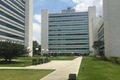 Conjunto Corporativo para alugar															, Jardim São Luís - São Paulo															 Foto 5